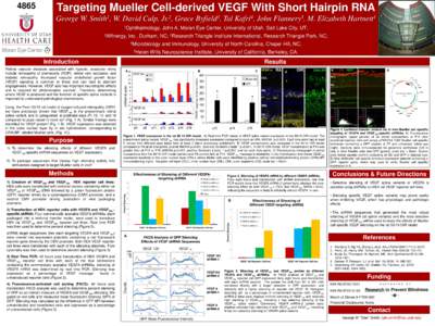 Targeting Mueller Cell-derived VEGF With Short Hairpin RNA W. David Culp, 1Ophthalmology, 2Affinergy,  2