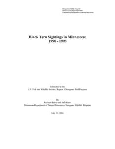 Nongame Wildlife Program Division of Ecological Services © Minnesota Department of Natural Resources Black Tern Sightings in Minnesota: [removed]