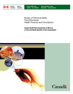Bureau of Chemical Safety Food Directorate Health Products and Food Branch Human Health Risk Assessment of Mercury in Fish and Health Benefits of Fish Consumption