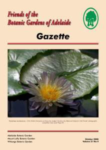Friends of the Botanic Gardens of Adelaide Gazette  Nymphaea zanzibarensis – Chris Veide’s first-prize-winning entry (Judge’s Section, Any Botanical Subject) in the Friends’ photographic
