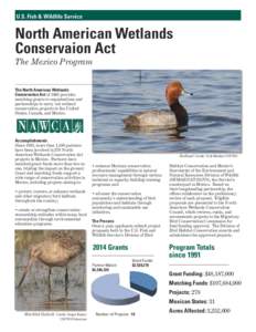 North American Wetlands Conservation Act / Ducks Unlimited / Wetland / United States Fish and Wildlife Service / Pronatura / Pheasants Forever / North American Waterfowl Management Plan / No net loss wetlands policy / Wetland conservation in the United States / Environment / Conservation