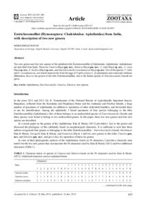 Eutrichosomellini (Hymenoptera: Chalcidoidea: Aphelinidae) from India, with description of two new genera