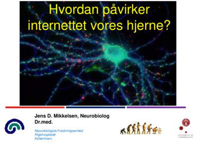 Hvordan påvirker internettet vores hjerne? Jens D. Mikkelsen, Neurobiolog Dr.med. Neurobiologisk Forskningsenhed