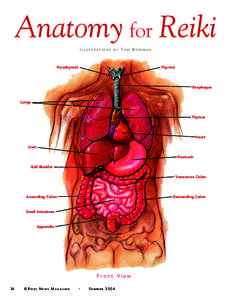 Anatomy for Reiki I L L U S T R AT I O N S BY  TOM BOWMAN