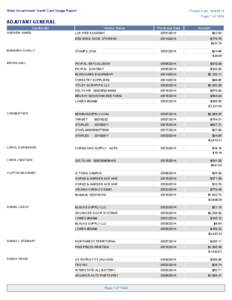 State Government Credit Card Usage Report