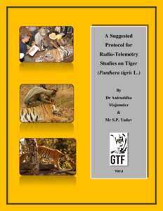 A Suggested Protocol for Radio-Telemetry Studies on Tiger (Panthera tigris L.) By
