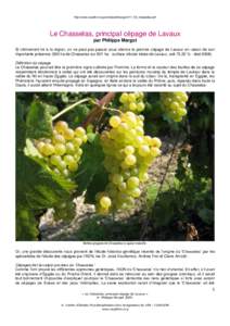 http://www.cepdivin.org/articles/phmargot017_09_chasselas.pdf  Le Chasselas, principal cépage de Lavaux par Philippe Margot Si intimement lié à la région, on ne peut pas passer sous silence le premier cépage de Lava