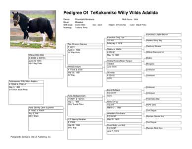 Pedigree Of TeKokomiko Willy Wilds Adalida Owner: Breed: Birth Date: Markings: