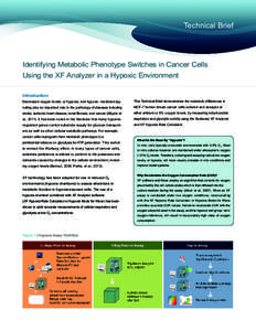 Technical Brief  Identifying Metabolic Phenotype Switches in Cancer Cells Using the XF Analyzer in a Hypoxic Environment Introduction Decreased oxygen levels, or hypoxia, and hypoxic -mediated sig-
