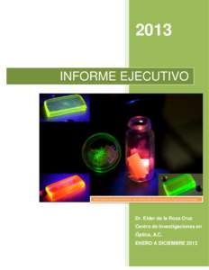 2013 INFORME EJECUTIVO Vidrios suaves y cerámicos luminiscentes, bajo excitación ultravioleta e infrarroja. Dr. Haggeo Dessirena Enríquez  Dr. Elder de la Rosa Cruz