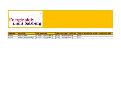 Gemeindeförderungen_Hallein.xlsx