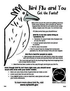 Bird Flu and You - Get the Facts!