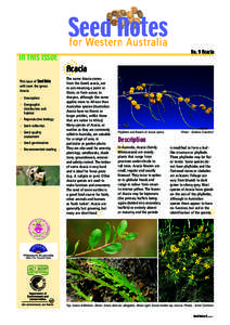 IN THIS ISSUE This issue of Seed Notes will cover the genus Acacia. D