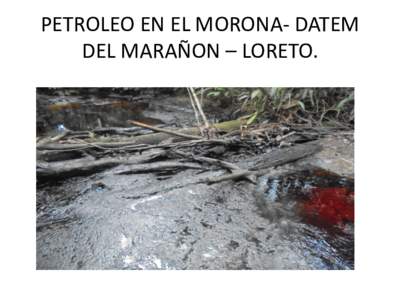 PETROLEO EN EL MORONA- DATEM DEL MARAÑON – LORETO. Muerte de animales acuàticos  El derrame forma lagos de petròleo