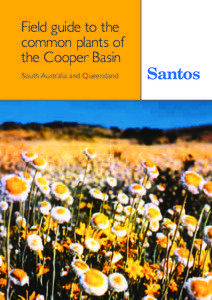 Field guide to the common plants of the Cooper Basin