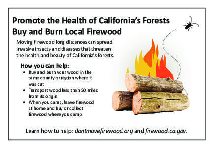 Promote the Health of California’s Forests Buy and Burn Local Firewood Moving firewood long distances can spread invasive insects and diseases that threaten the health and beauty of California’s forests.