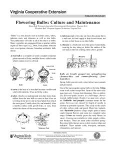 publication[removed]Flowering Bulbs: Culture and Maintenance Diane Relf, Extension Specialist, Environmental Horticulture, Virginia Tech Elizabeth Ball , Program Support Technician, Virginia Tech