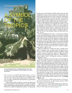 Unraveling the Origins of A SYMBOL OF THE TROPICS