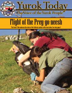 Yurok Today  The Voice of the Yurok People Flight of the Prey-go-neesh The Yurok Tribe embraces the return of the California condor on the reservation. See story page 3