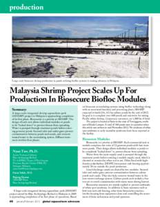 production	  Large-scale biosecure shrimp production in ponds utilizing biofloc systems is making advances in Malaysia. Malaysia Shrimp Project Scales Up For Production In Biosecure Biofloc Modules