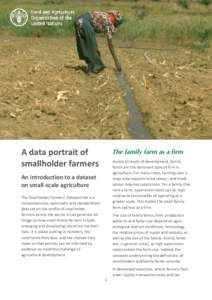 The family farm as a firm  A data portrait of smallholder farmers  Across all levels of development, family