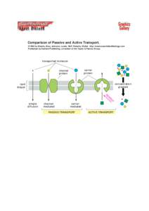 Comparison of Passive and Active Transport. ©1998 by Alberts, Bray, Johnson, Lewis, Raff, Roberts, Walter . http://www.essentialcellbiology.com Published by Garland Publishing, a member of the Taylor & Francis Group.  t