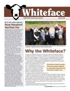 Whiteface  The HEREFORDS: The Efﬁciency Experts