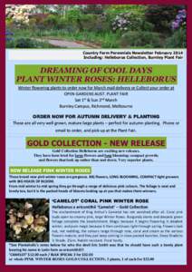 Country Farm Perennials Newsletter February 2014 Including: Helleborus Collection, Burnley Plant Fair DREAMING OF COOL DAYS PLANT WINTER ROSES: HELLEBORUS Winter flowering plants to order now for March mail delivery or C