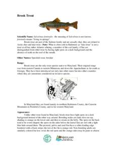 Brook Trout  Scientific Name: Salvelinus fontinalis: the meaning of Salvelinus is not known; fontinalis means “living in springs”. Brook trout are part of the Salmon family and are actually char; they are related to 