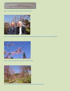 Figure 1: Marble Plaque in Memory of Capt. Marshall Thompson  Figure 2: Mark Halverson (left) and Guy Willis (right) in the Japanese Friendship Garden, with cherry trees in the background