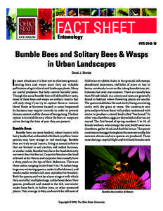 Bumble Bees and Solitary Bees & Wasps in Urban Landscapes