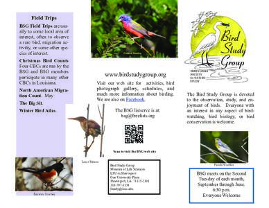 Field Trips BSG Field Trips are usually to some local area of interest, often to observe a rare bird, migration activitiy, or some other species of interest. Christmas Bird Counts Four CBCs are run by the