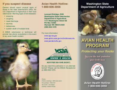 If you suspect disease Owners should report unusual signs of illness to the state veterinarian’s office, the U.S. Department of Agriculture or their local veterinarian. Warning signs of bird diseases: •	 sneezing