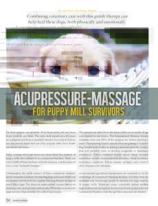 By Amy Snow and Nancy Zidonis  Combining veterinary care with this gentle therapy can help heal these dogs, both physically and emotionally.  ACUPRESSURE-MASSAGE