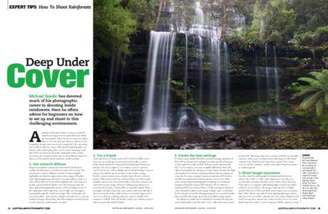 EXPERT TIPS How To Shoot Rainforests  Cover Deep Under Michael Snedic has devoted much of his photographic