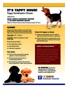 IT’S YAPPY HOUR! Puppy Socialization Classes Offered by the SMALL ANIMAL COMMUNITY PRACTICE and UC DAVIS BEHAVIOR SERVICE