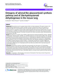 Enzymes / EC 1.1.1 / Steroid hormones / Adrenal gland disorders / Metabolism / 20alpha-hydroxysteroid dehydrogenase / Aldosterone / 3-beta-HSD / Cytochrome P450 / Biology / Endocrine system / Chemistry