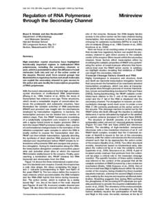 Cell, Vol. 118, 281–284, August 6, 2004, Copyright 2004 by Cell Press  Regulation of RNA Polymerase through the Secondary Channel Bryce E. Nickels and Ann Hochschild* Department of Microbiology