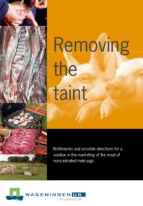 Removing the taint Bottlenecks and possible directions for a solution in the marketing of the meat of non-castrated male pigs