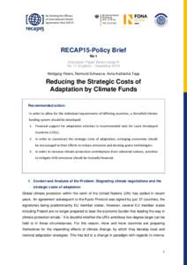 Re-thinking the Efficacy of International Climate Agreements Post COP15 FKZ: 01LA1139A