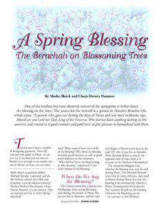 A Spring Blessing The Berachah on Blossoming Trees