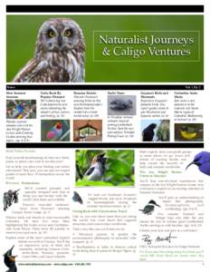 Naturalist Journeys & Caligo Ventures News  Vol. 1 Ed. 2