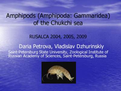 Amphipods (Amphipoda: Gammaridea) of the Chukchi sea RUSALCA 2004, 2005, 2009 Daria Petrova, Vladislav Dzhurinskiy
