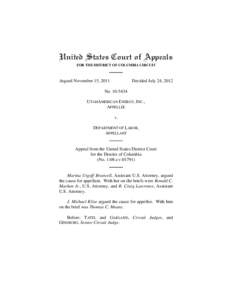 United States Court of Appeals FOR THE DISTRICT OF COLUMBIA CIRCUIT Argued November 15, 2011  Decided July 24, 2012