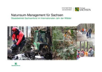 Naturraum-Management für Sachsen Staatsbetrieb Sachsenforst im Internationalen Jahr der Wälder Staatsbetrieb Sachsenforst  Obere