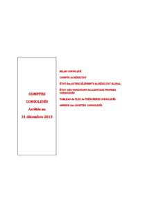 Microsoft Word - CS Rubis Comptes consolidés[removed]