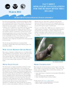 MARCH[removed]FACT SHEET MINK INJURY INVESTIGATIONS FOR THE HUDSON RIVER NRDA[removed]