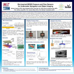Bio-inspired MEMS Pressure and Flow Sensors  for Underwater Navigation and Object Imaging 