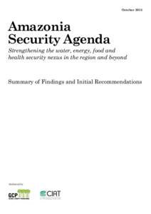 October[removed]Amazonia Security Agenda Strengthening the water, energy, food and health security nexus in the region and beyond