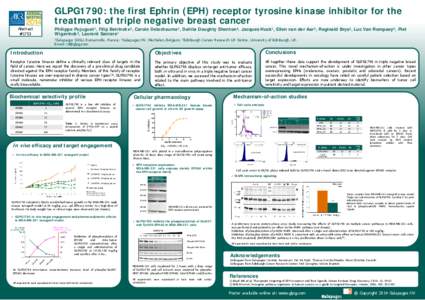 Signal transduction / Eph receptor / Cell signaling / Tyrosine kinase receptors / Tyrosine kinase / Mitogen-activated protein kinase / EPH receptor A2 / Phosphorylation / Receptor tyrosine kinase / Biology / Cell biology / Receptors